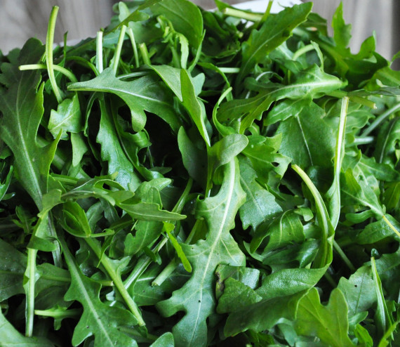 Ruccola