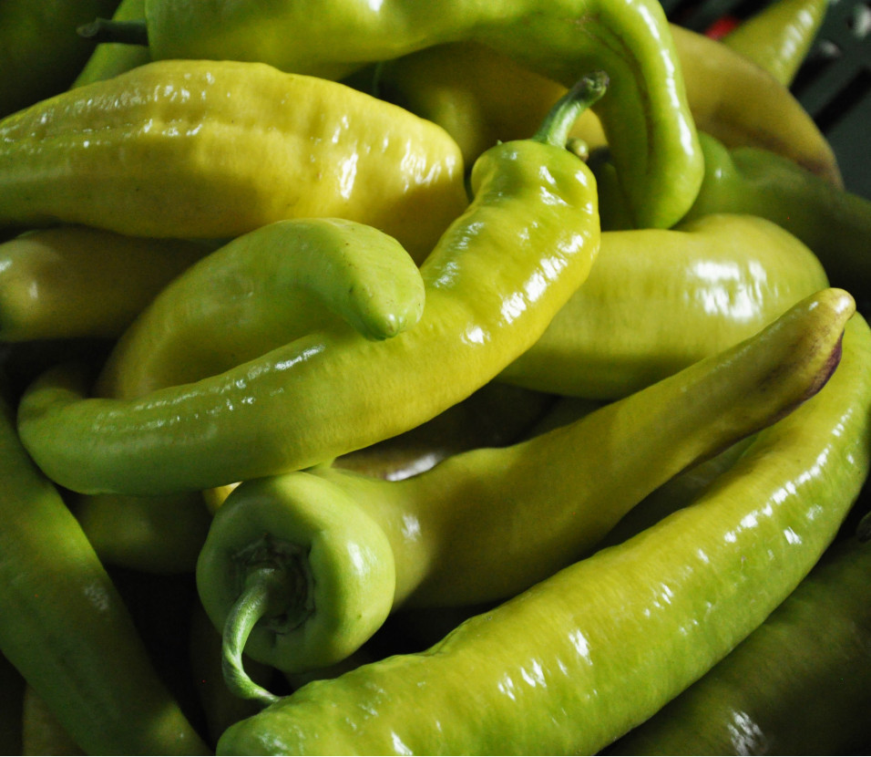 Piments doux de Sicile