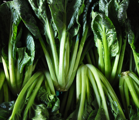 Tatsoi