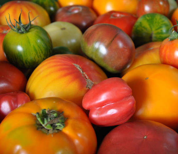 Tomate Pro Specia Rara mix