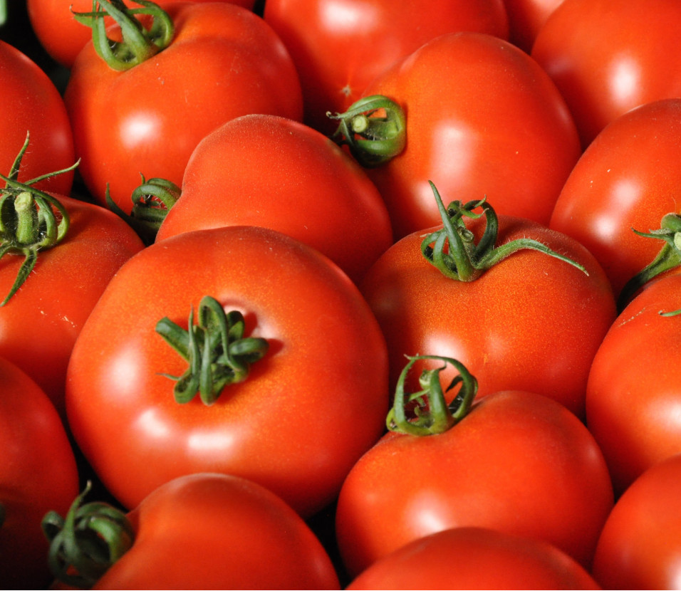 Tomate rund rot (Cristal)