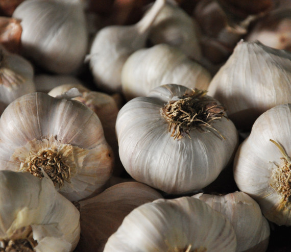 Ail  Légumes suisses