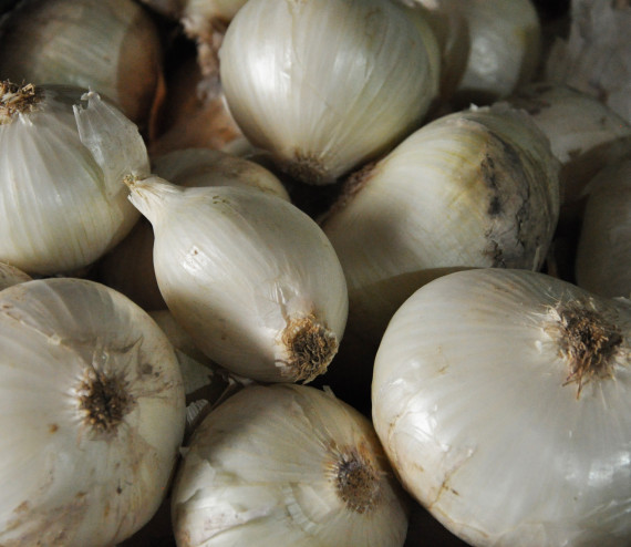 Oignons blancs au kilo