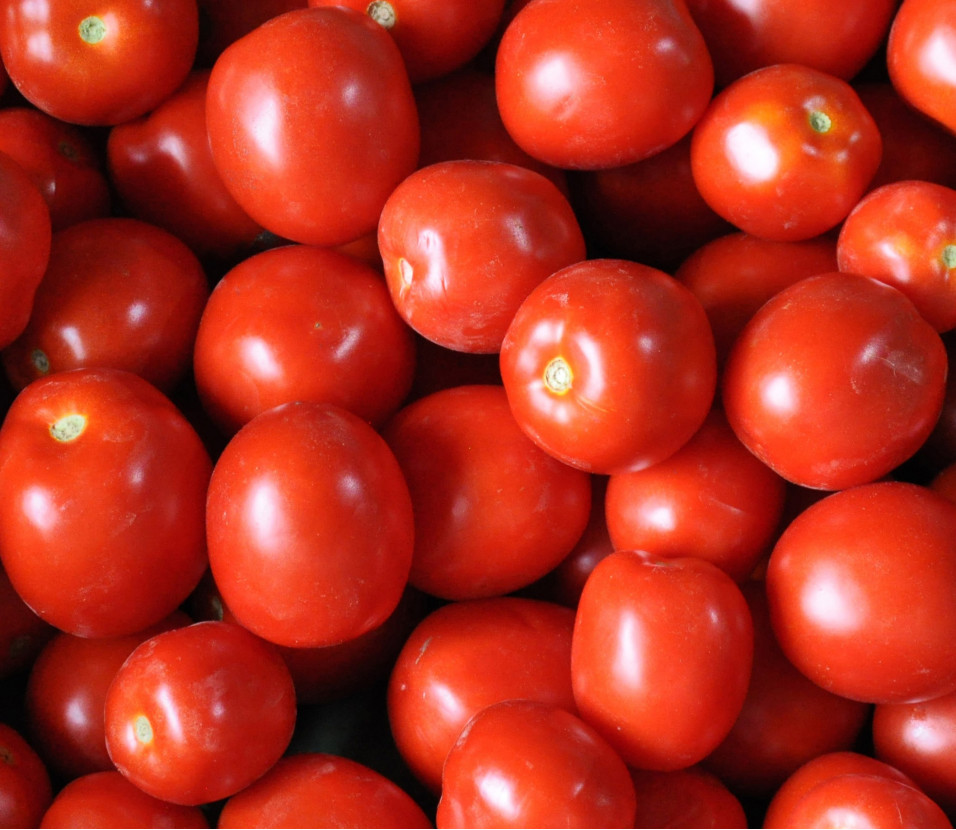 Romatomaten (Sauce-)