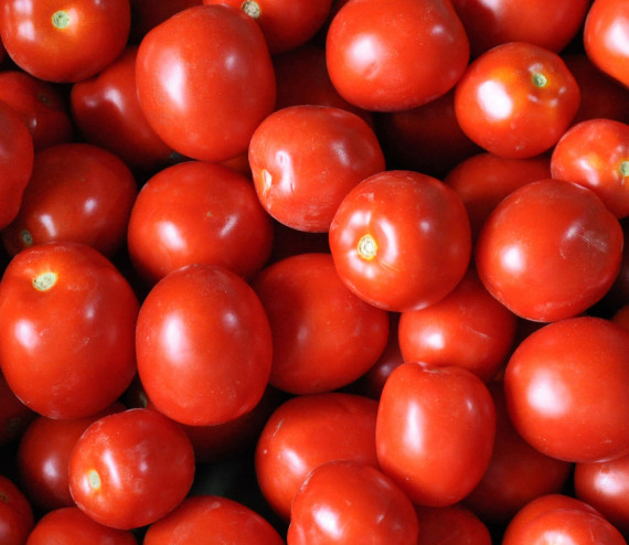 tomates Roma (sauce)