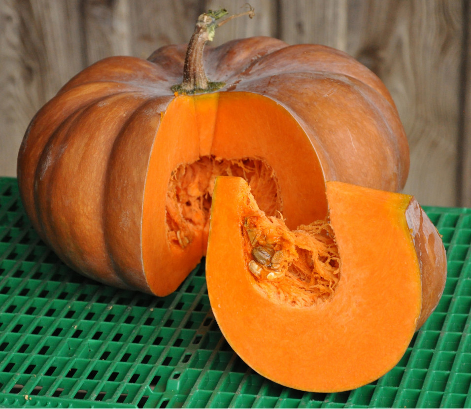 Courge Musqu Courge Musqu