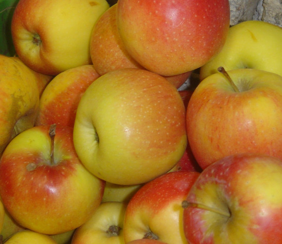 Aepfel Florina