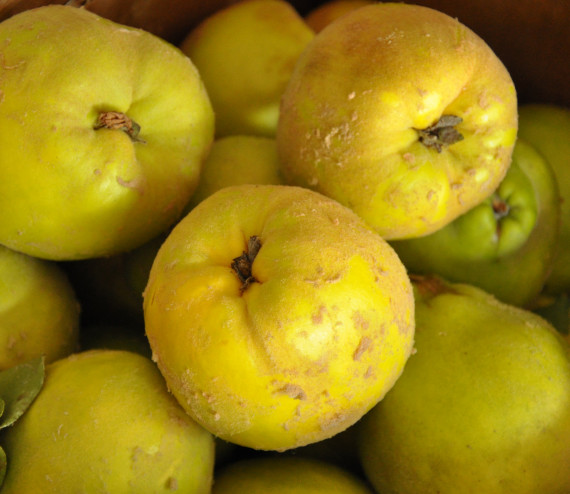 Coings