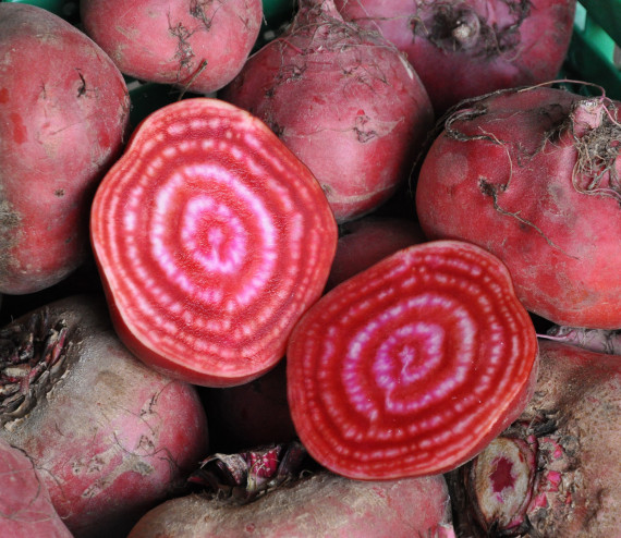 Randen Chioggia