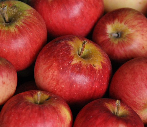 Pommes Topaz