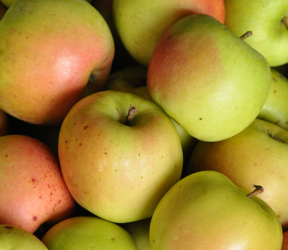 Pommes Ottava