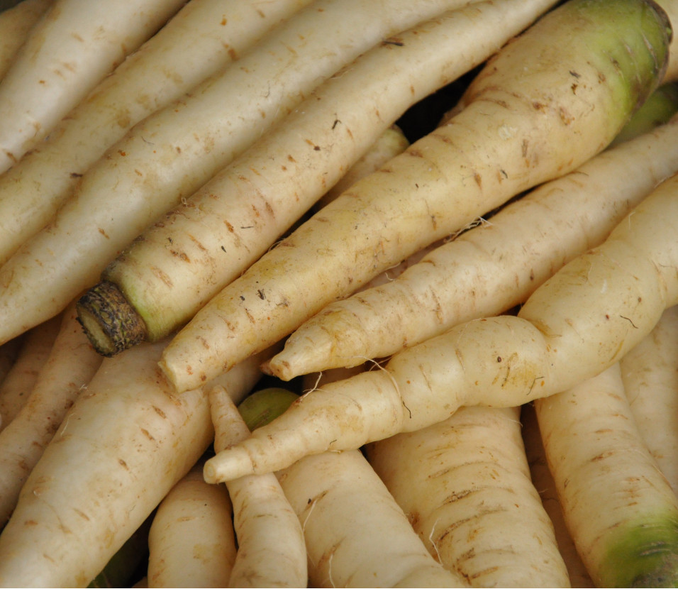 Carottes blanches