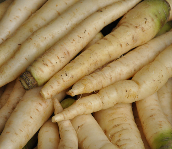 Carottes blanches