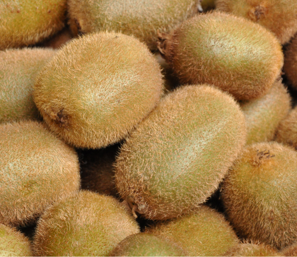 Kiwi (Schweiz) Kiwi (Schweiz)