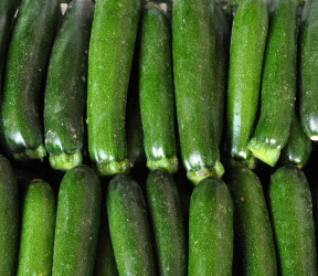 Courgette verte petite