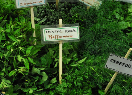 Herbes aromatiques