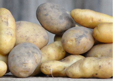 Kartoffeln