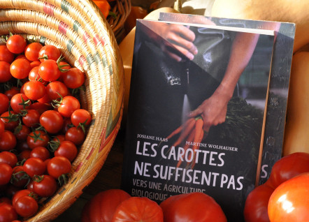 Gutscheine und Bücher