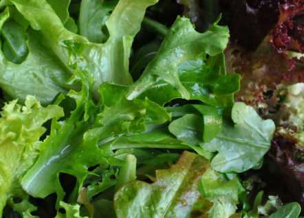 Salades