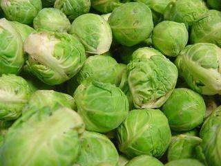 chou de bruxelle